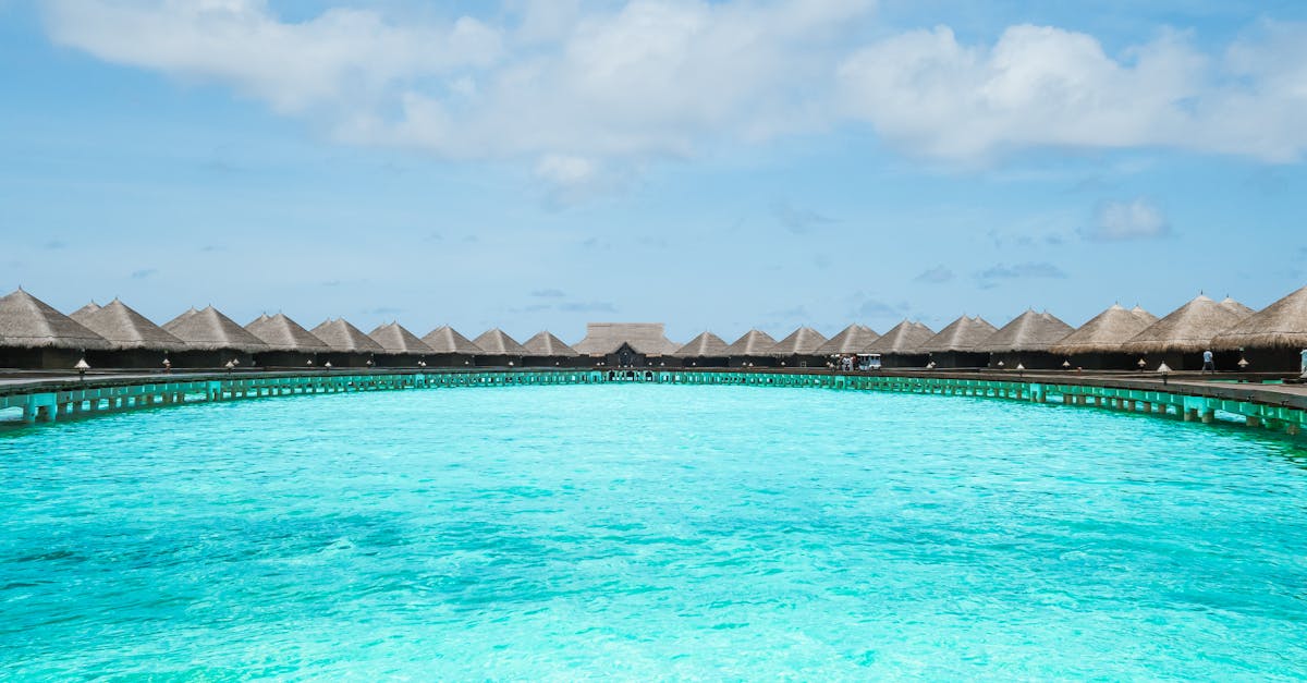 découvrez nos destinations de rêve qui éveilleront votre imagination et vous emmèneront vers des paysages enchanteurs. que vous soyez en quête de plages paradisiaques, de montagnes majestueuses ou de villes fascinantes, trouvez l'inspiration pour votre prochain voyage.