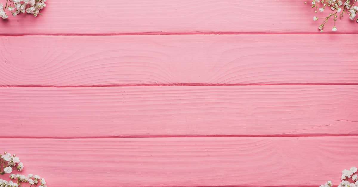 découvrez la beauté et la diversité de la nature à travers nos articles captivants. explorez les paysages époustouflants, la faune fascinante et la flore luxuriant. plongez dans un monde où chaque aspect de la nature révèle une histoire unique et enrichissante.