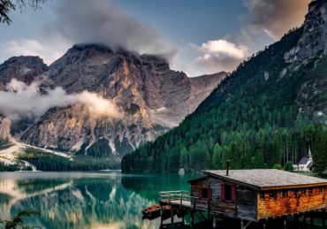 découvrez la beauté et la diversité de la nature à travers des récits inspirants, des photographies époustouflantes et des conseils pour préserver notre environnement. plongez dans un monde où chaque élément de la nature raconte une histoire.
